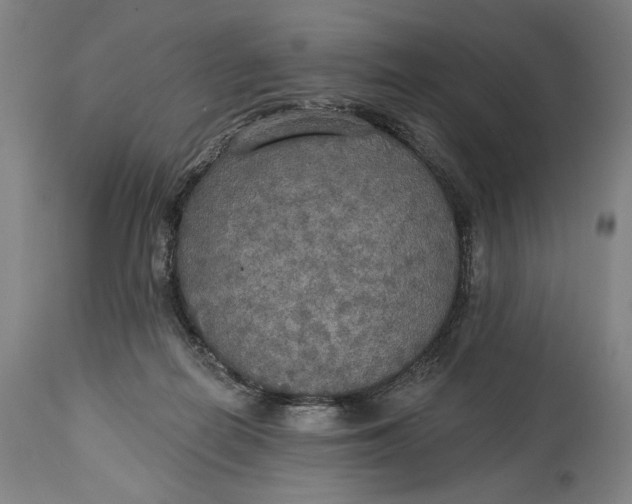 X0000114610266200911101158