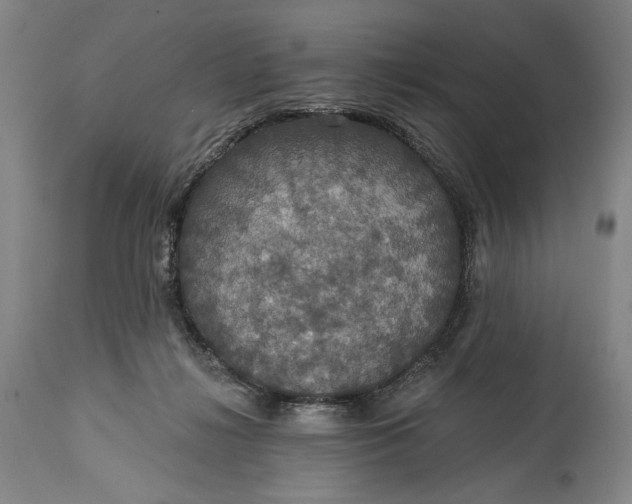 X0000114610268200911101158