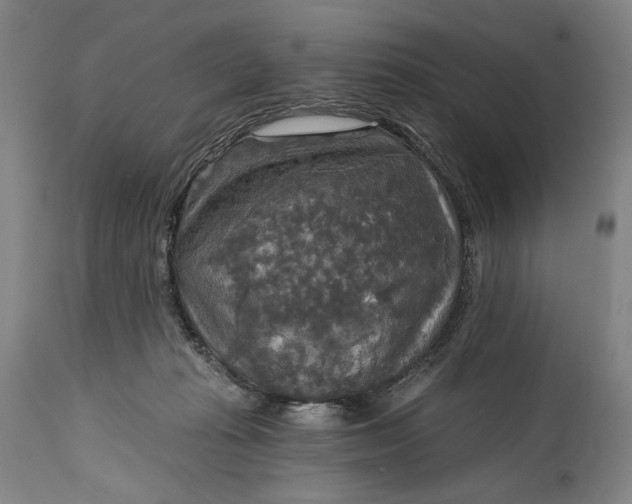 X0000114610269200911101158