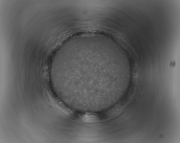 X0000114610270200911101158