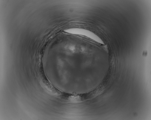 X0000114610271200911101158