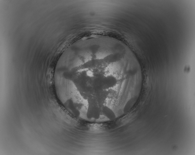 X0000114610273200911101158