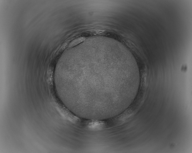 X0000114610274200911101158