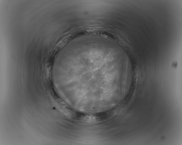 X0000114610276200911101158