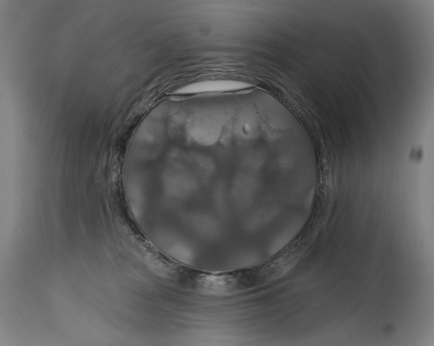 X0000114610277200911101158