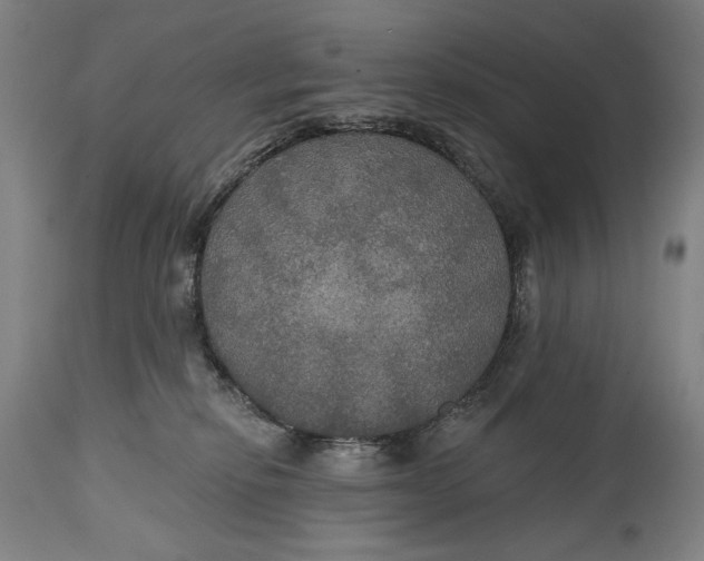 X0000114610278200911101159