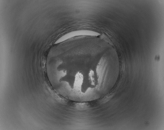 X0000114610281200911101159