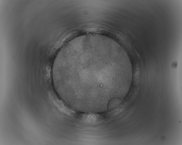 X0000114610282200911101159