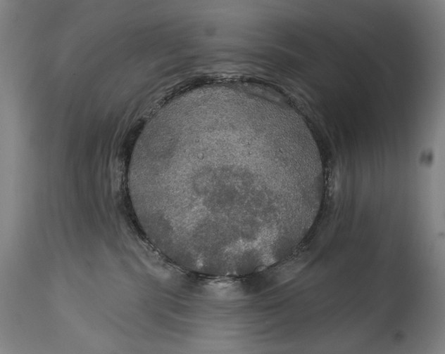 X0000114610283200911101159