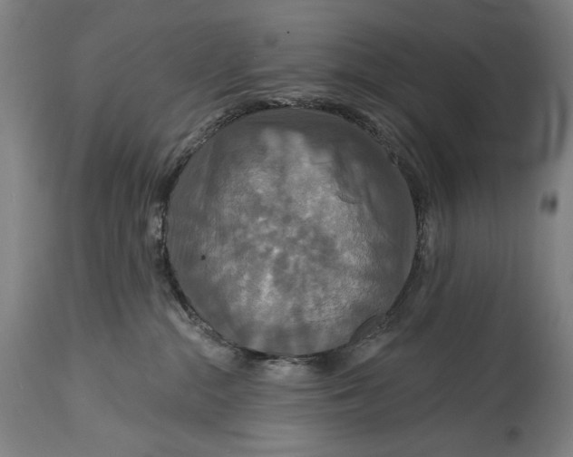 X0000114610284200911101159