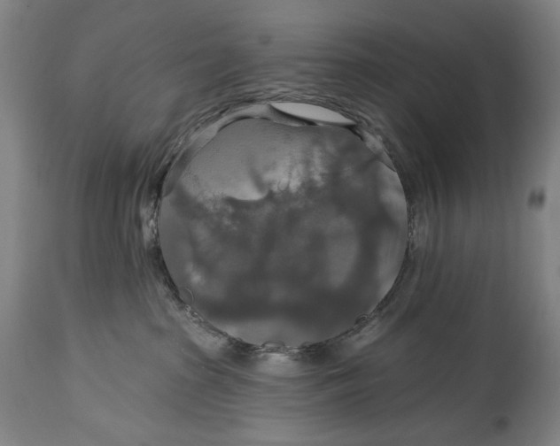 X0000114610285200911101159