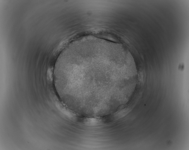 X0000114610286200911101159