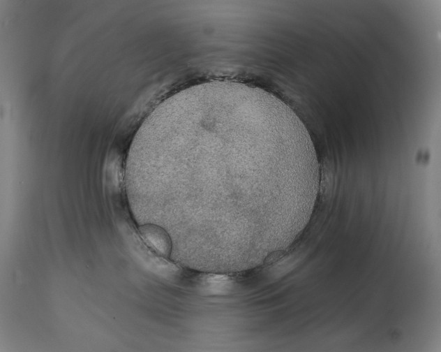 X0000114610287200911101159