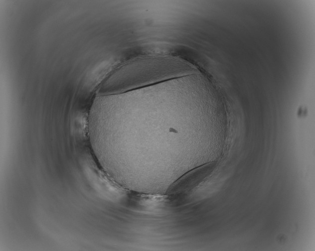 X0000114610288200911101159