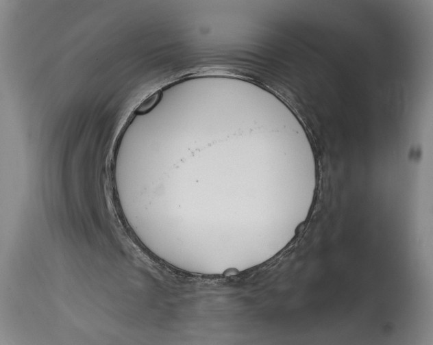 X0000114610289200911101158