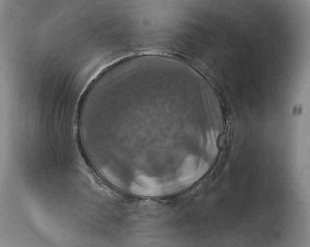 X0000114610290200911101158