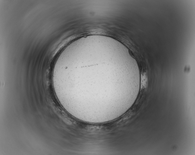 X0000114610291200911101158