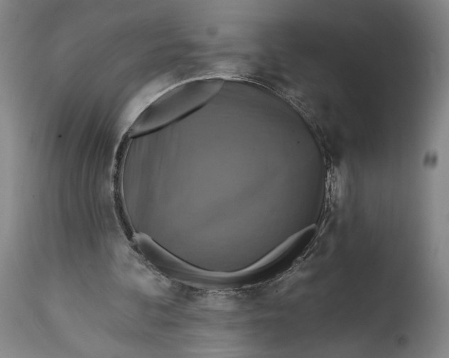 X0000114610292200911101158