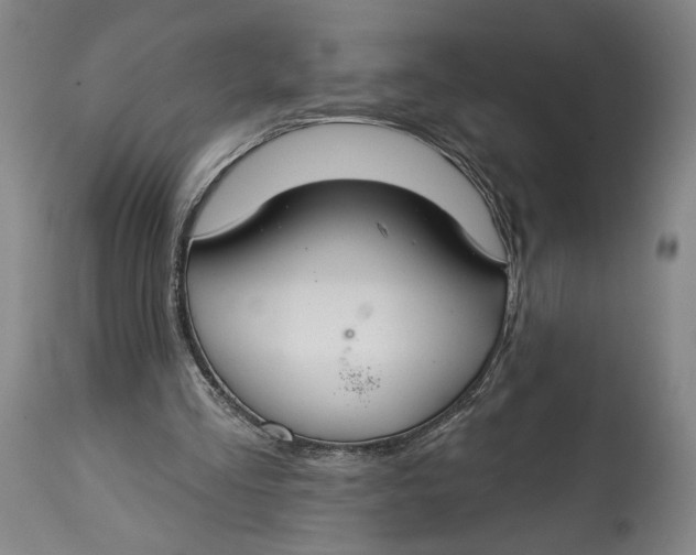 X0000114610293200911101158