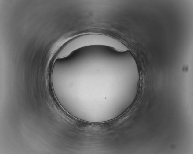 X0000114610294200911101158