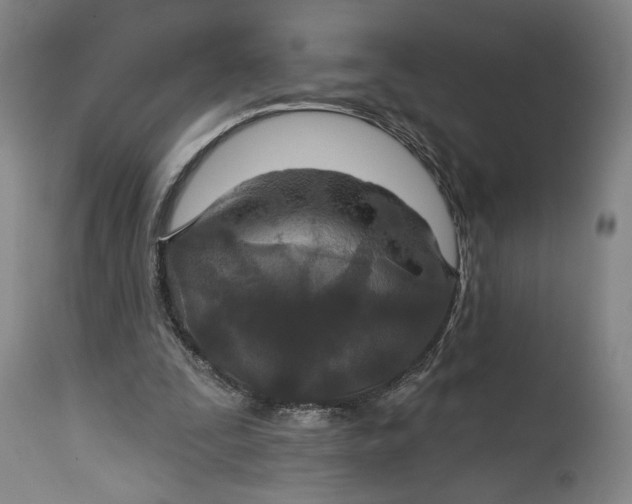 X0000114610295200911101158