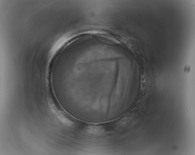 X0000114610296200911101158