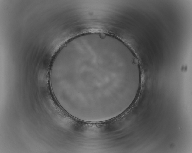 X0000114610297200911101158