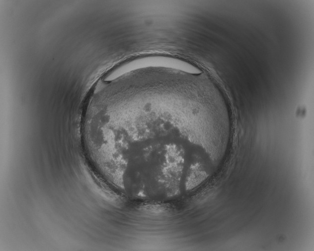 X0000114610299200911101158