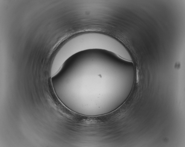 X0000114610300200911101158