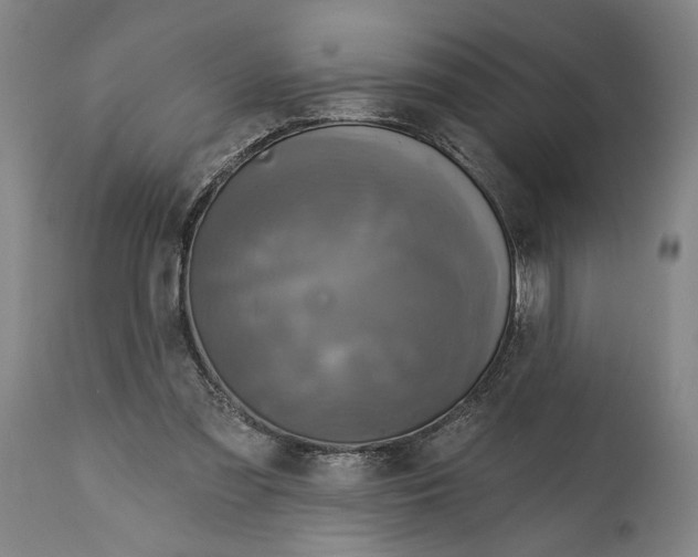 X0000114610301200911101158