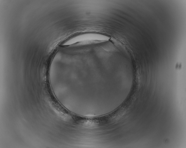 X0000114610303200911101158