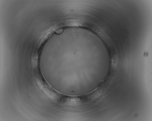 X0000114610304200911101158