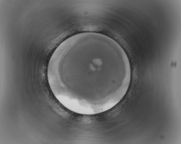 X0000114610305200911101158