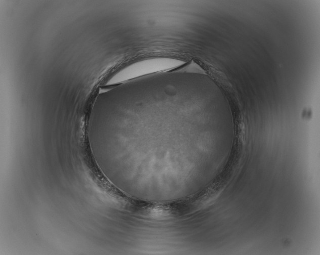 X0000114610308200911101158