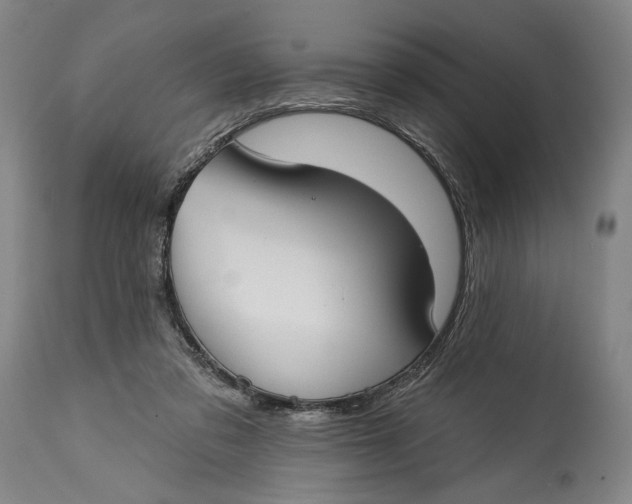 X0000114610309200911101158