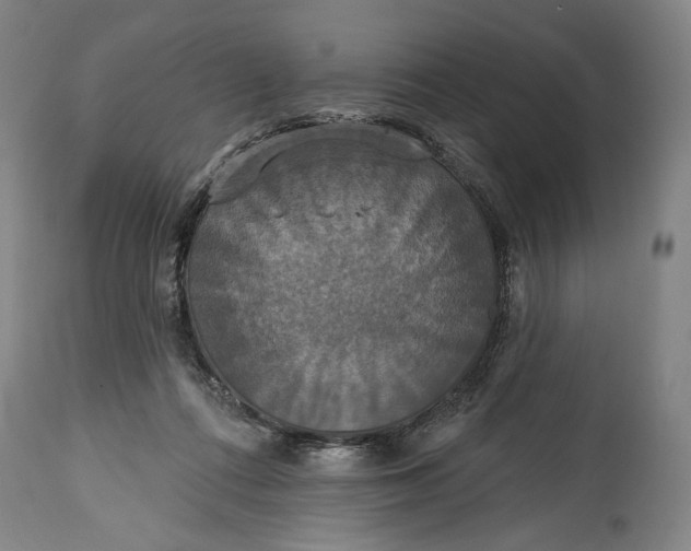 X0000114610312200911101157