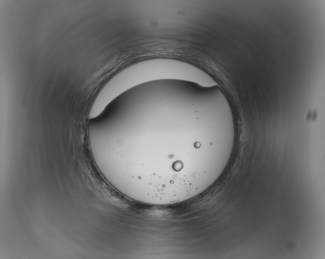 X0000114610313200911101157