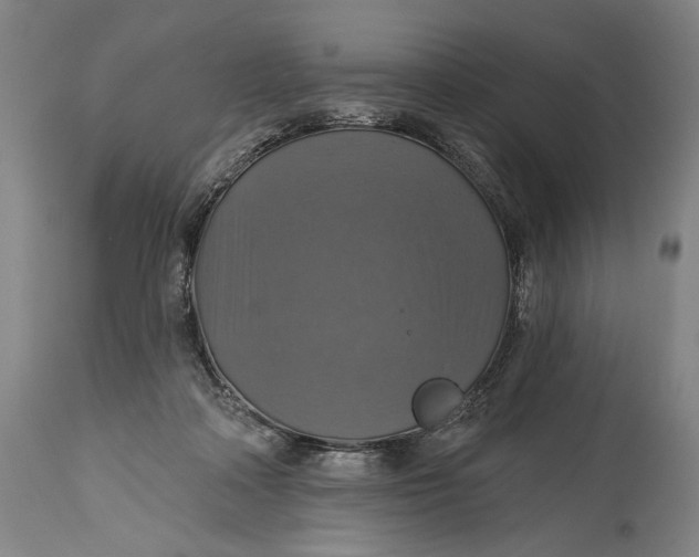 X0000114610314200911101157