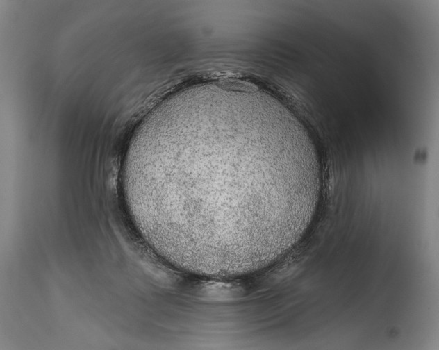 X0000114610315200911101157