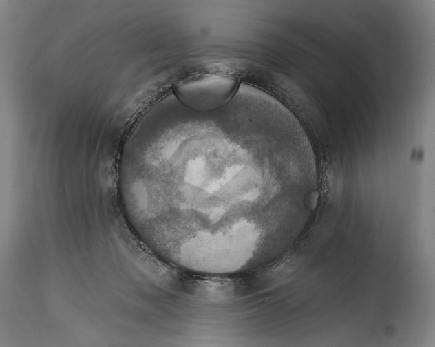 X0000114610317200911101157