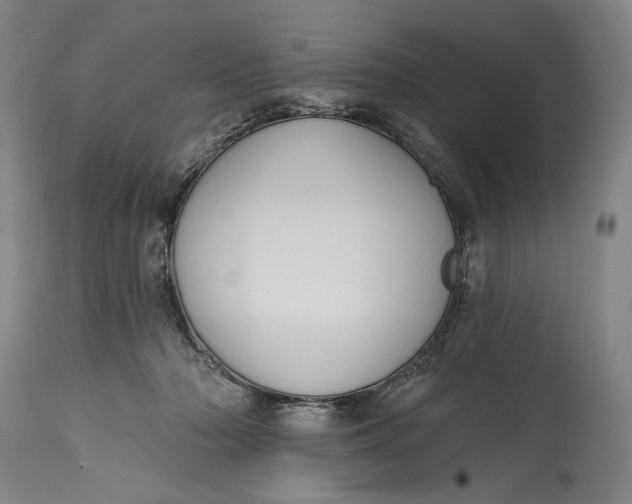 X0000114610318200911101157