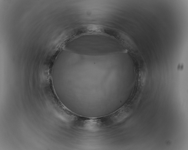 X0000114610320200911101157