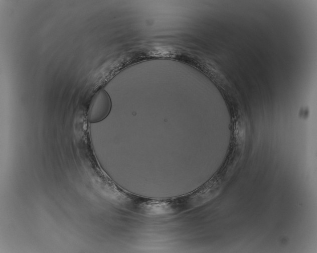 X0000114610322200911101157