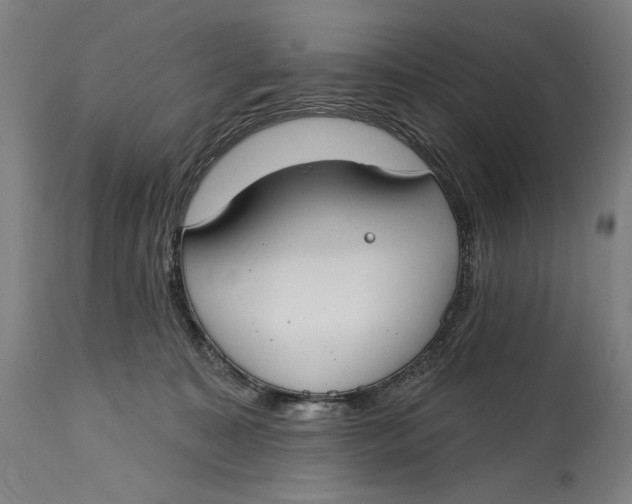 X0000114610323200911101157