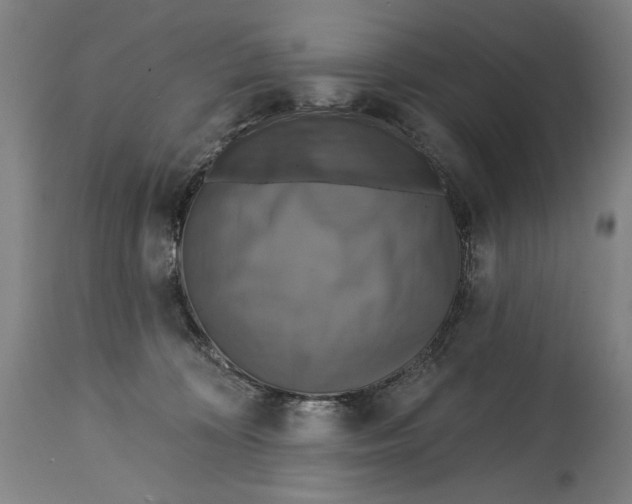 X0000114610324200911101157