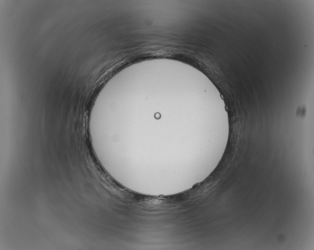 X0000114610325200911101157