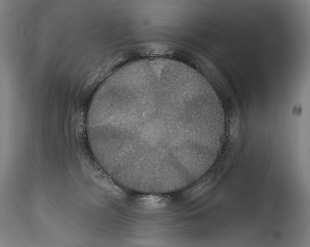 X0000114610326200911101157