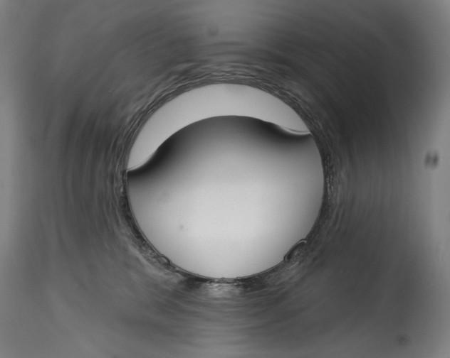 X0000114610327200911101157