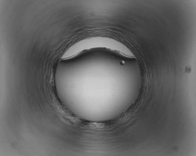 X0000114610328200911101157