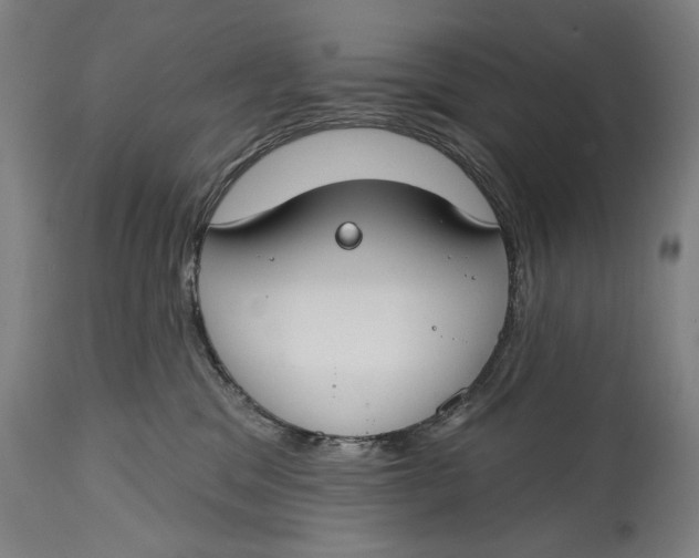 X0000114610329200911101157